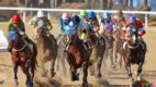 steepledowns cards today|Steepledowns Racecards .